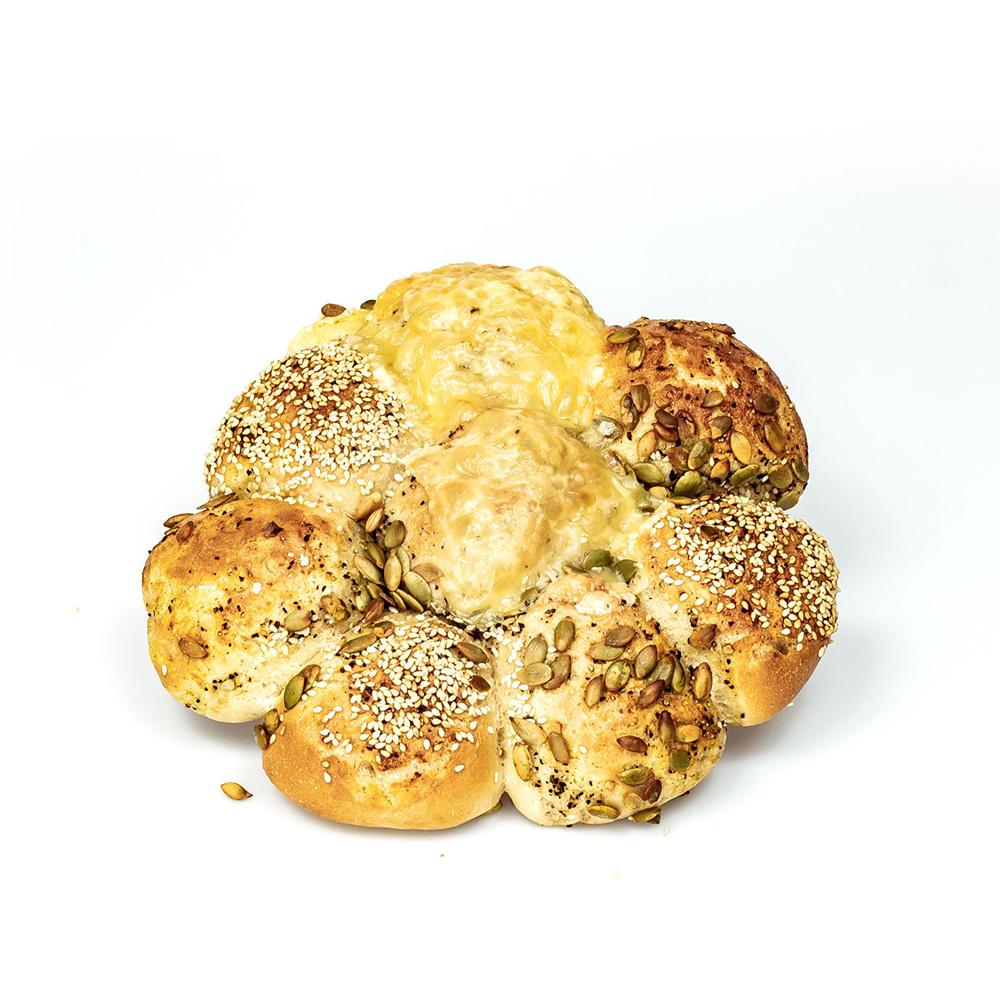 Bergmann's Bäckerblume